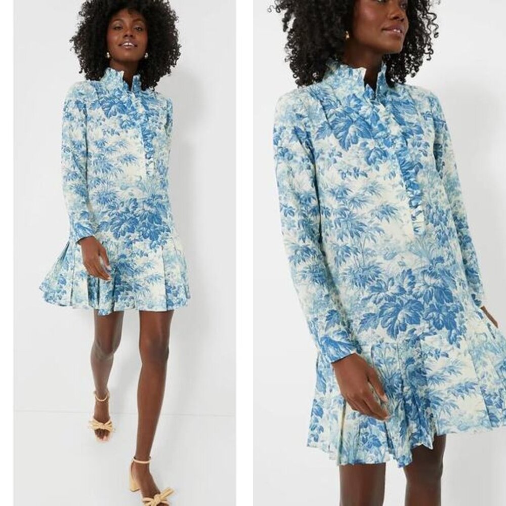 Tuckernuck Dress Misty Blue Toile Long Sleeve Drop Waist Tate Mini Dress Size S - Picture 2 of 12